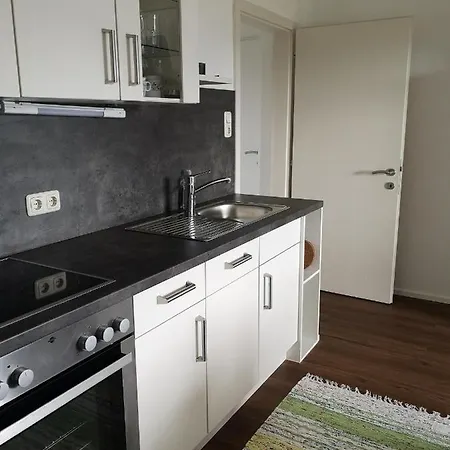 公寓 费恩霍夫加斯纳酒店 *