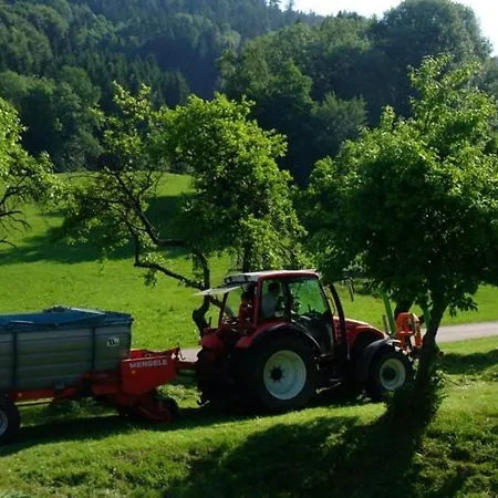 Gassner Mondsee